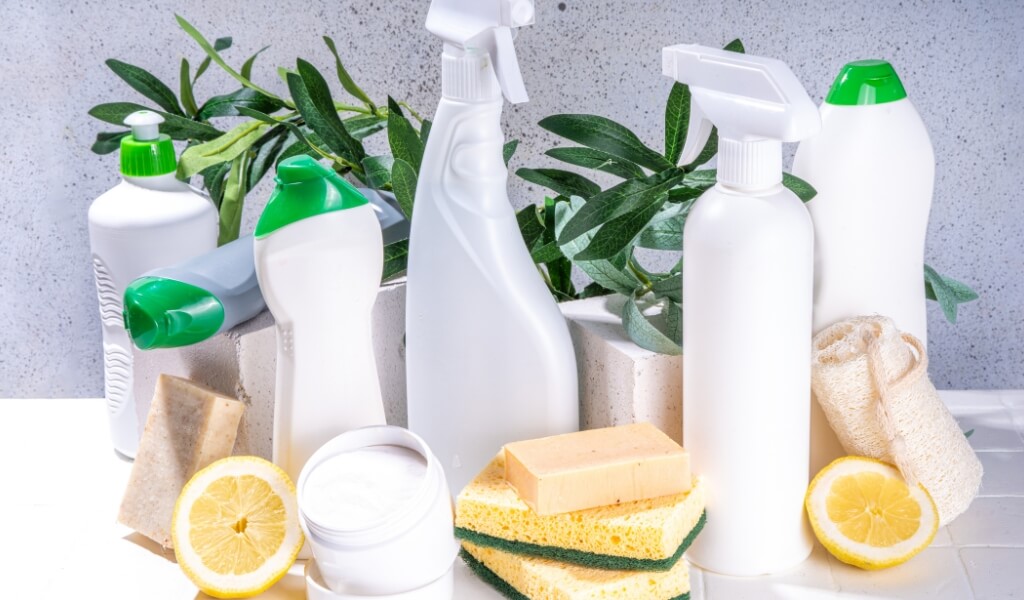 Criando uma Casa Verde e Livre de Toxinas