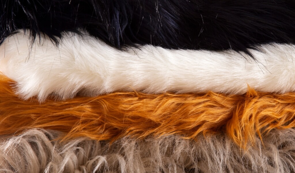 O Outro Lado da Moda: Crueldade Com os Animais