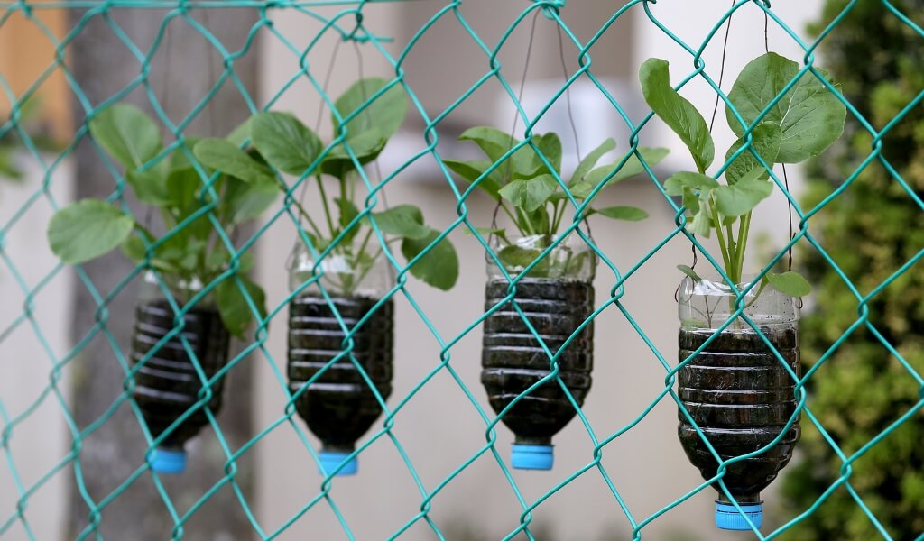 Criando uma Casa Verde e Livre de Toxinas