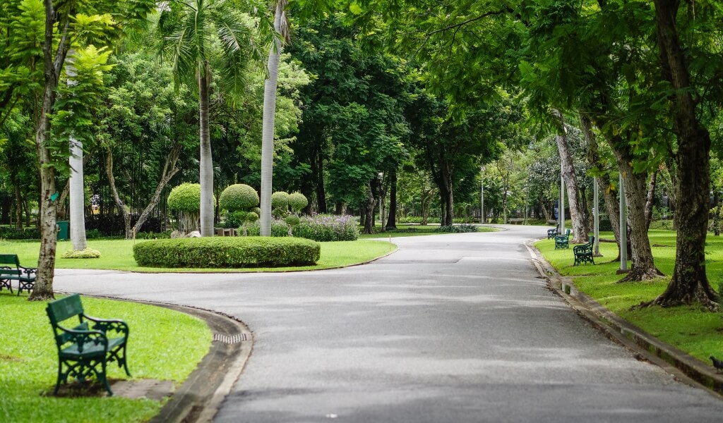 Saúde Mental: A Natureza e Seus Benefícios