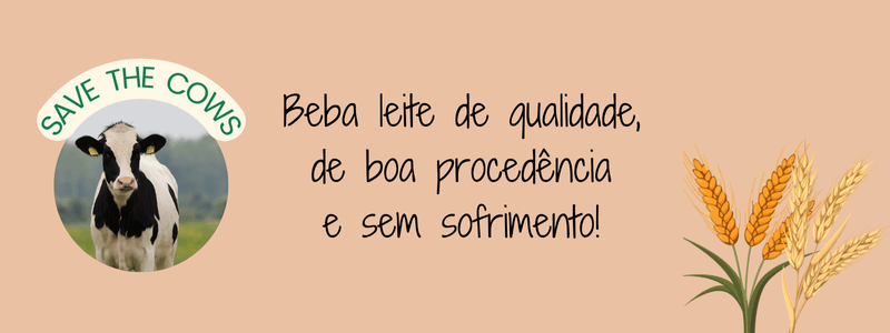 Leite vegetal: Três Receitas Fáceis e Acessíveis