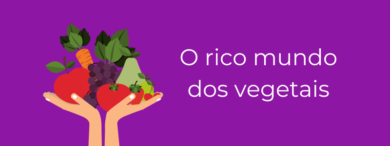 A proteina vegetal e seu mito
