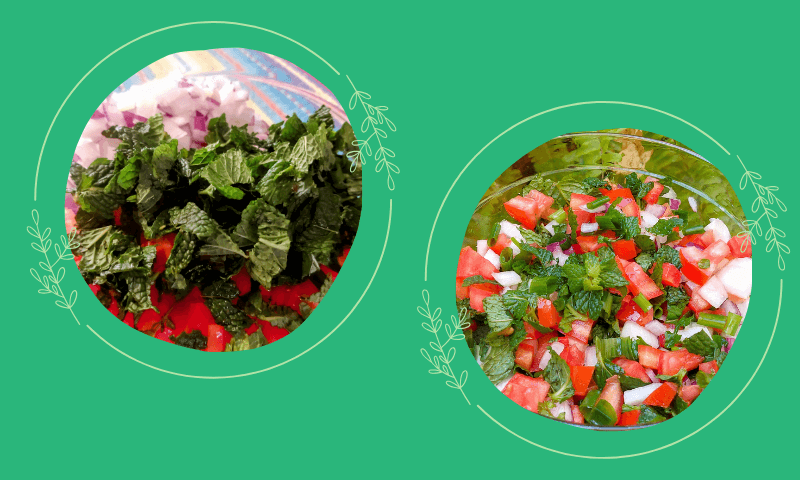Almoço Vegano, Simples e Saudável