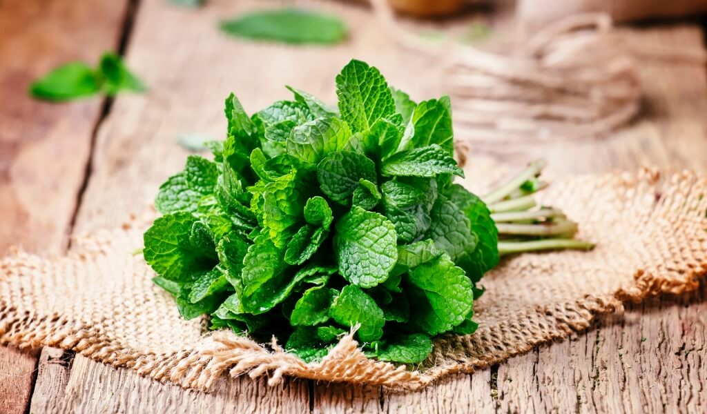Suco de Morango e Hortelã