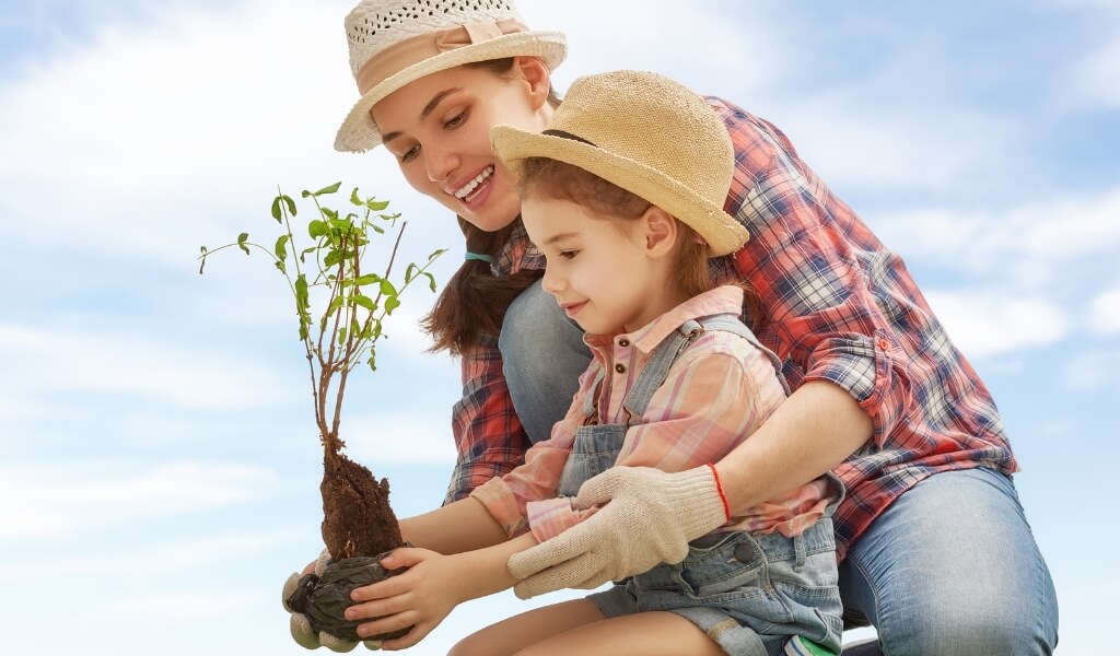 Veganismo: a Chave Para uma Vida Sustentável
