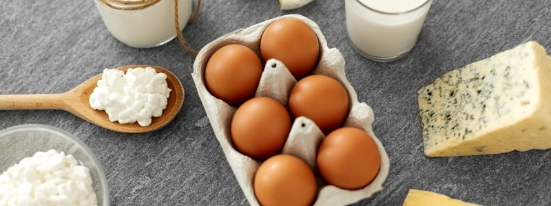 Vegano vs. Vegetariano: Compreendendo as Distinções